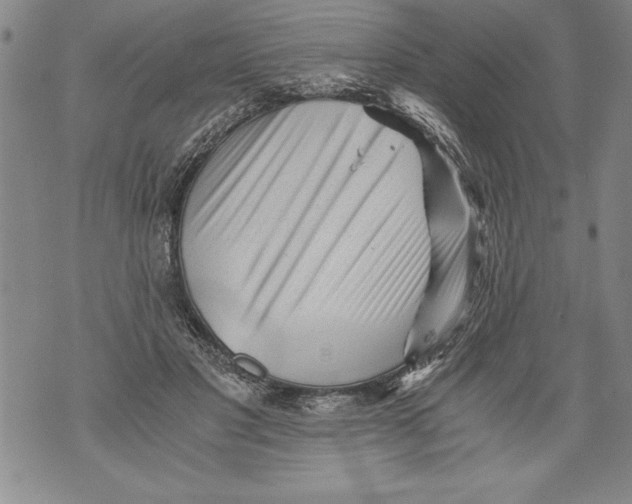 X0000076090501200610152322