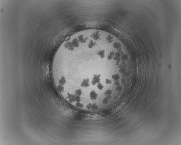 X0000076090502200610152322