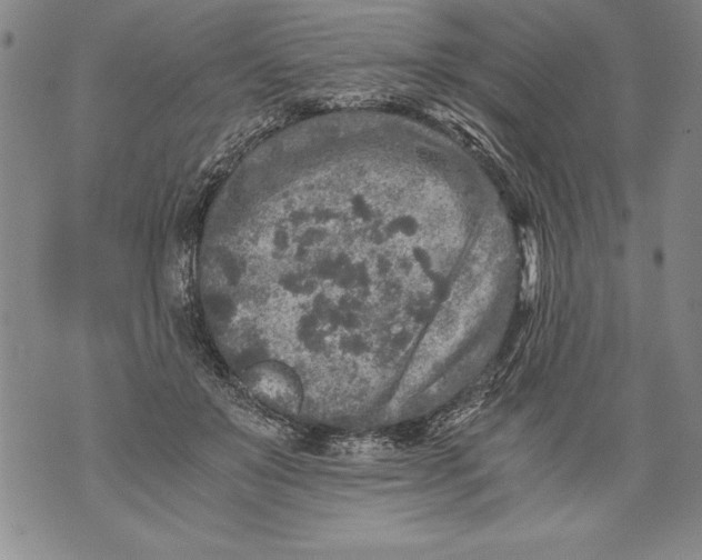 X0000076090503200610152322