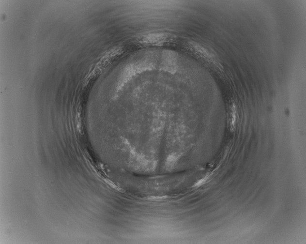 X0000076090504200610152322