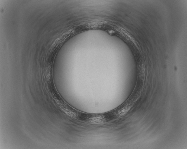 X0000076090505200610152322