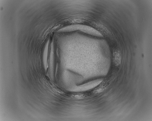 X0000076090506200610152322