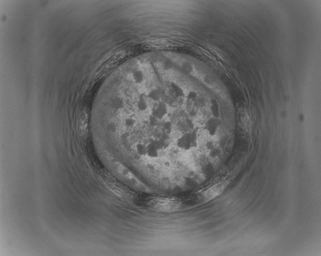 X0000076090507200610152322