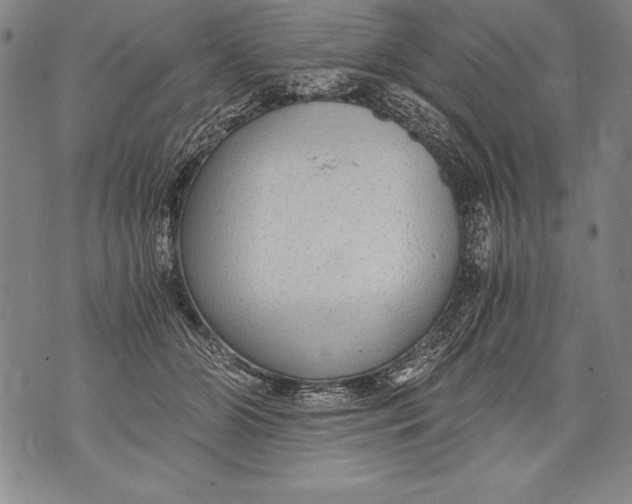 X0000076090510200610152322