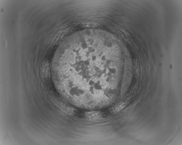 X0000076090511200610152322