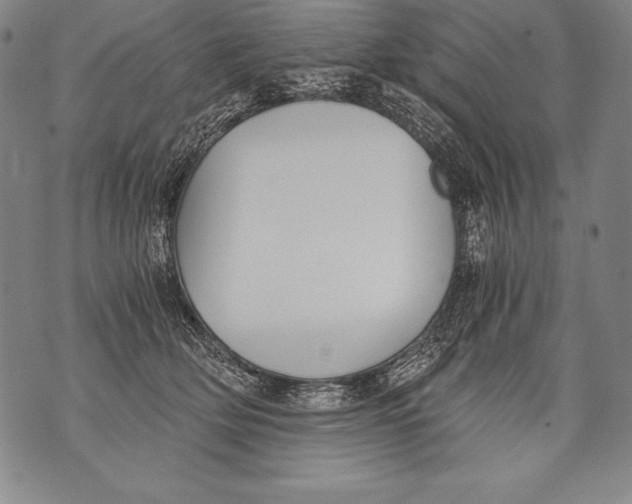 X0000076090514200610152322