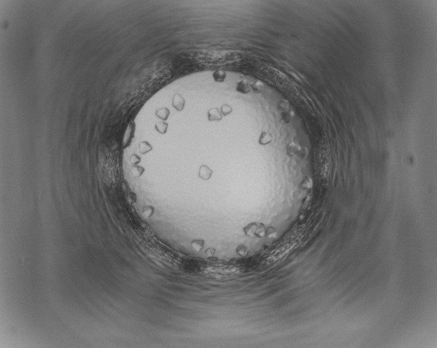 X0000076090515200610152322