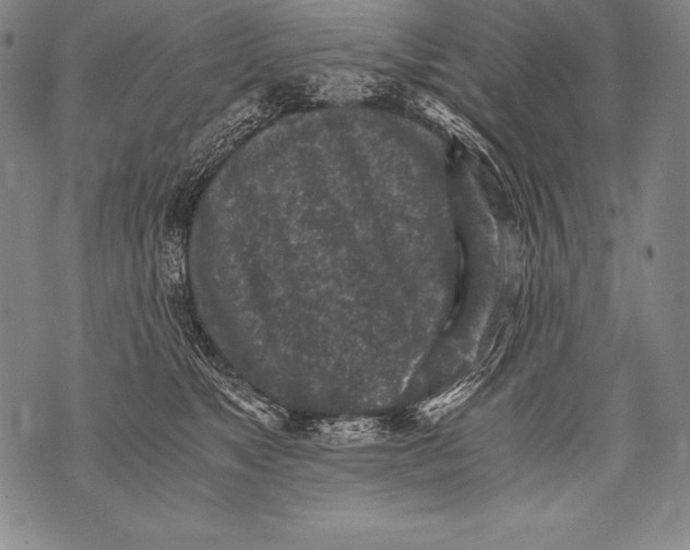 X0000076090517200610152322