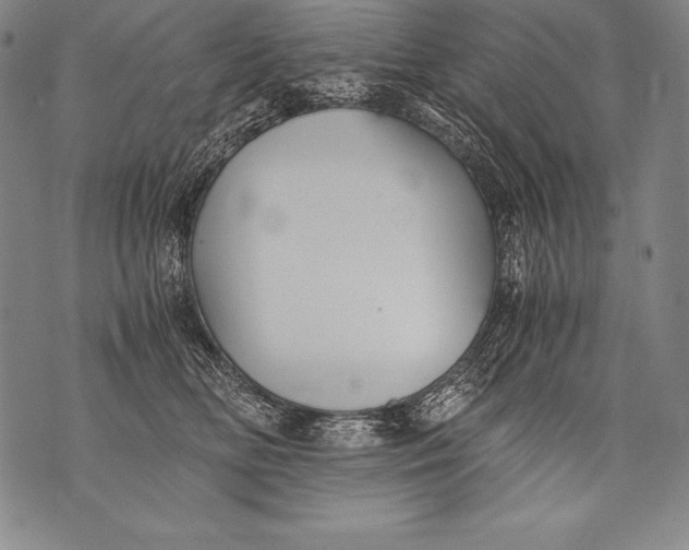 X0000076090518200610152322