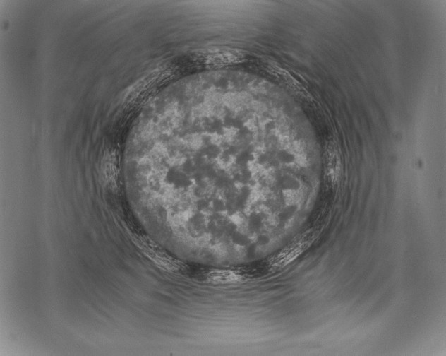 X0000076090519200610152321