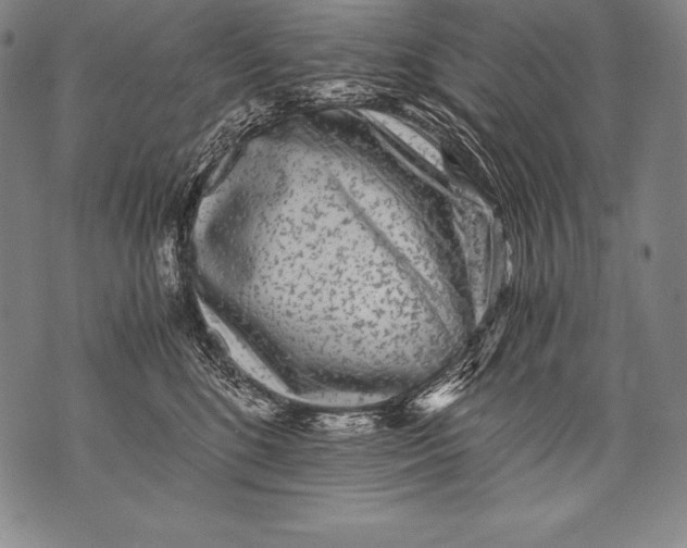 X0000076090520200610152321