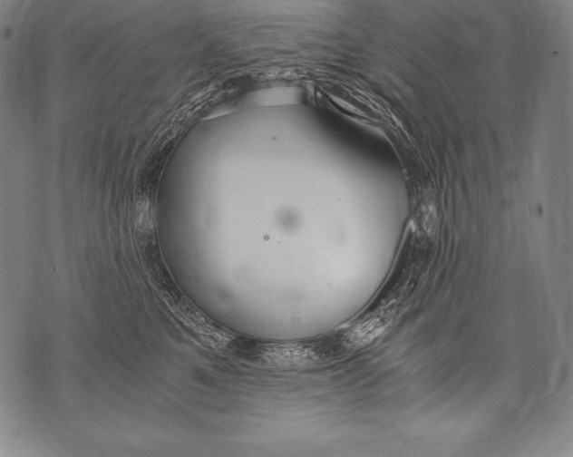 X0000076090521200610152321