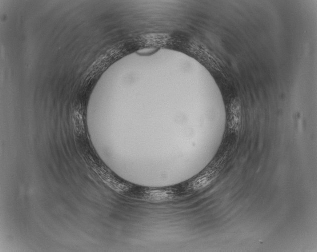 X0000076090522200610152321