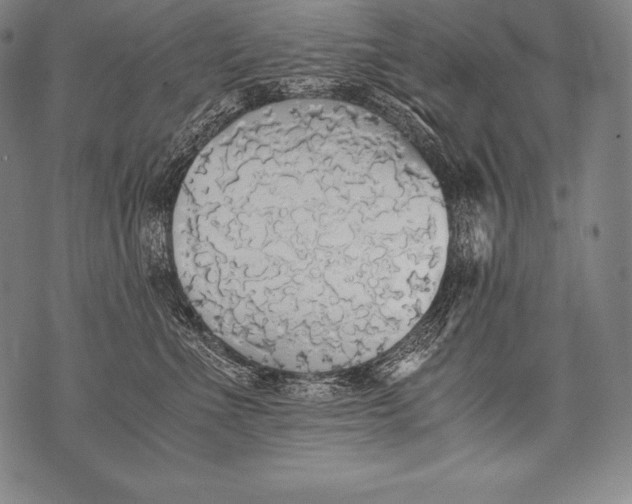 X0000076090523200610152321