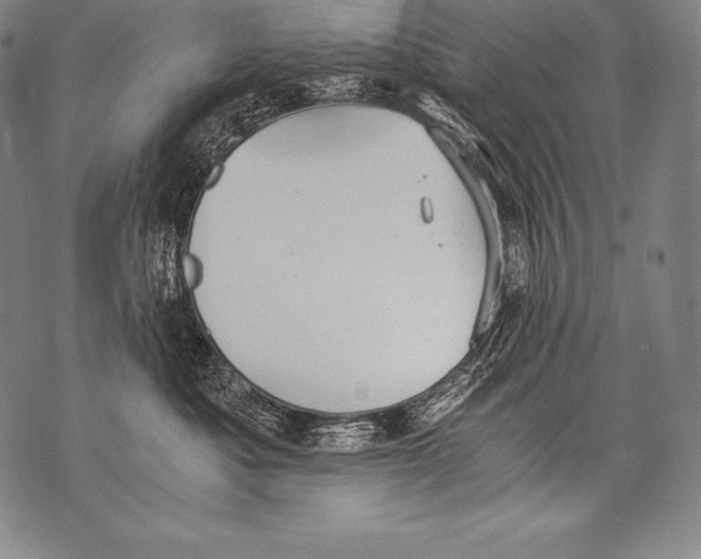 X0000076090525200610152321