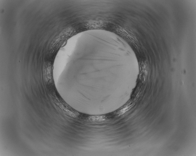 X0000076090526200610152321