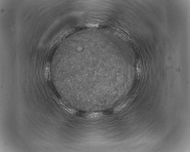 X0000076090527200610152321