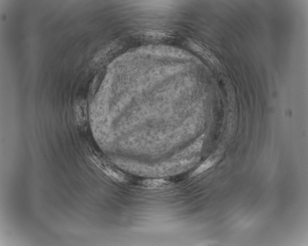 X0000076090528200610152321