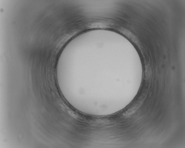 X0000076090529200610152321