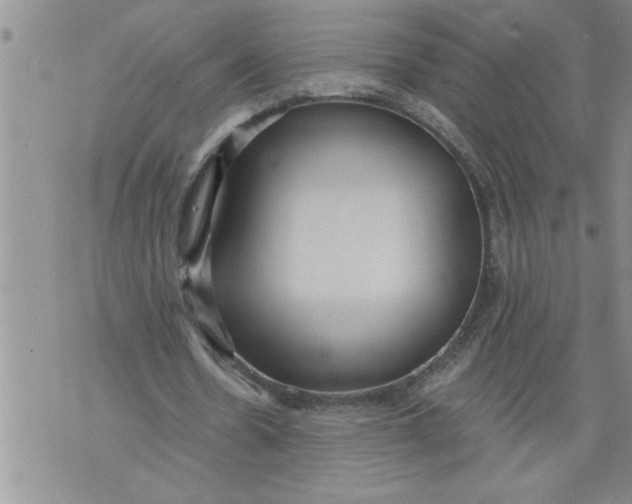 X0000076090530200610152321