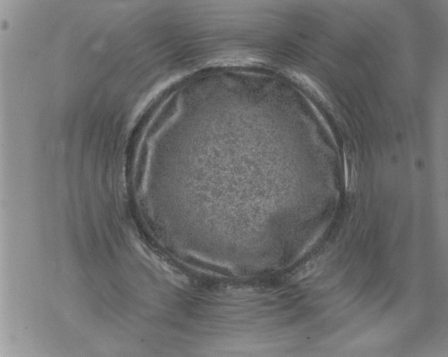 X0000076090531200610152321