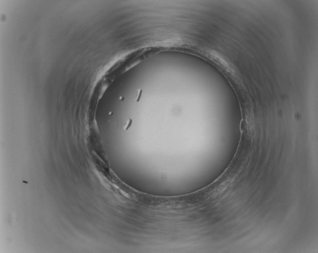 X0000076090532200610152321