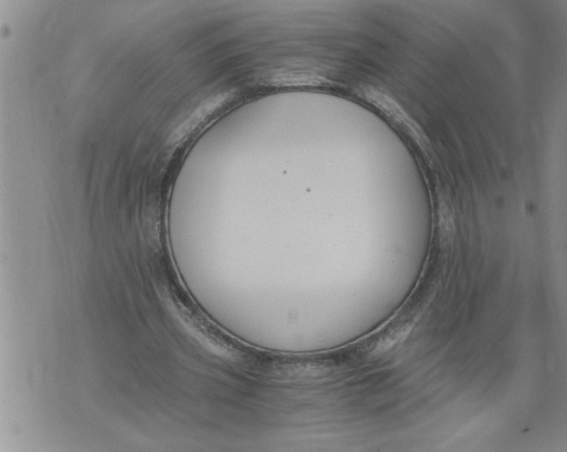 X0000076090533200610152321