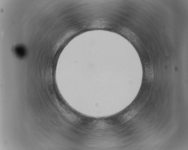 X0000076090534200610152321