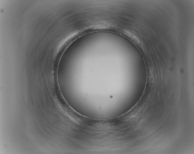 X0000076090535200610152321