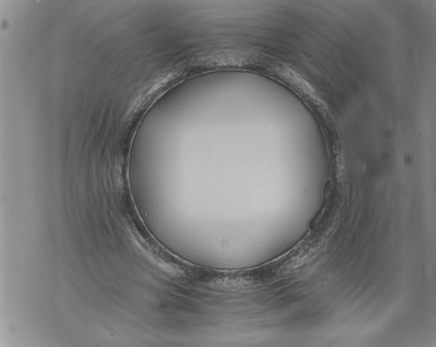 X0000076090537200610152321