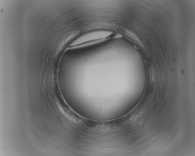 X0000076090538200610152321