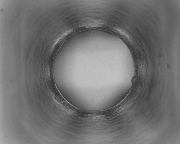 X0000076090539200610152321