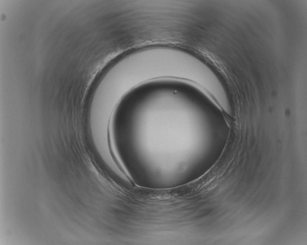 X0000076090540200610152321