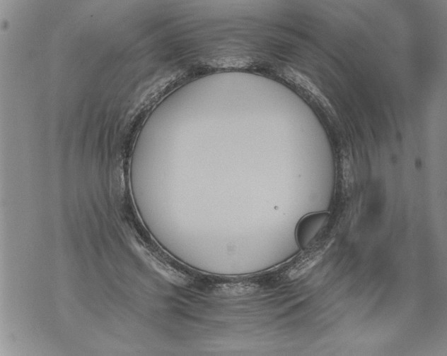 X0000076090541200610152321