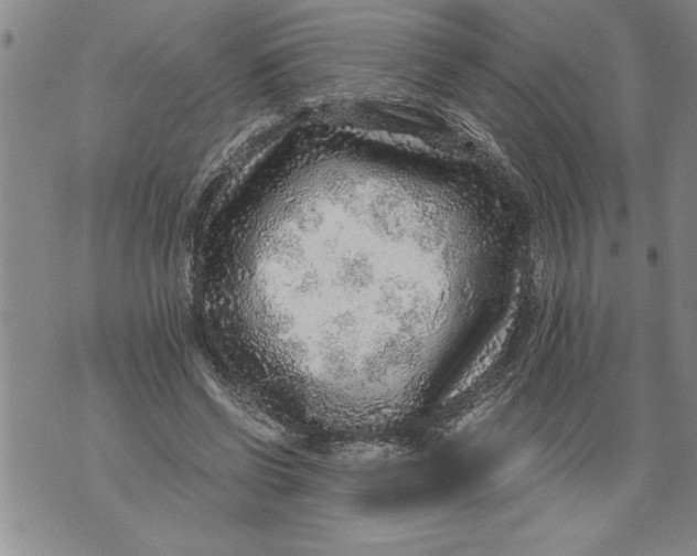 X0000076090542200610152321