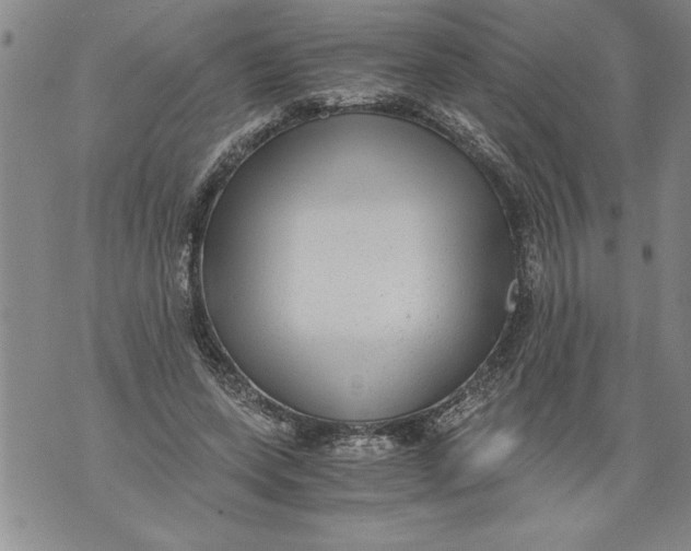 X0000076090543200610152321