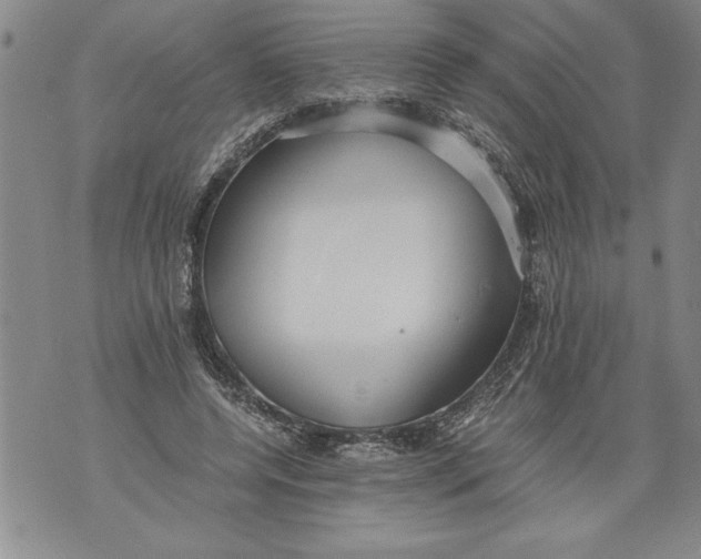 X0000076090544200610152321