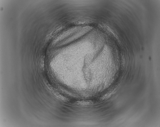 X0000076090545200610152321