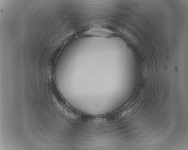 X0000076090546200610152321