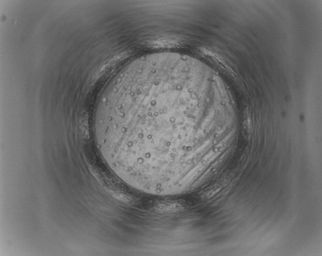 X0000076090547200610152321