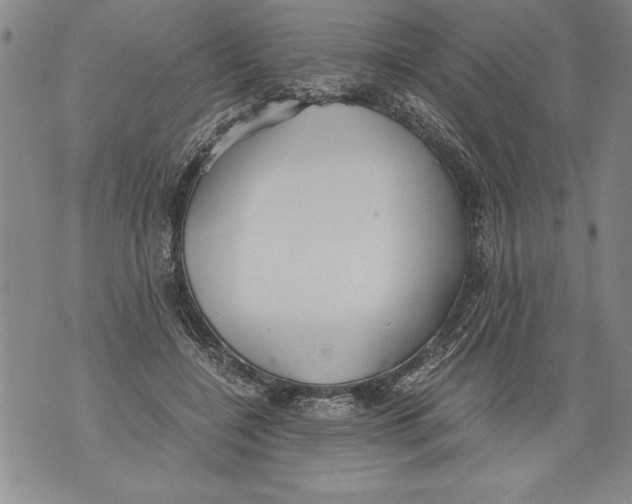 X0000076090548200610152321