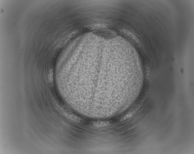 X0000076090549200610152321