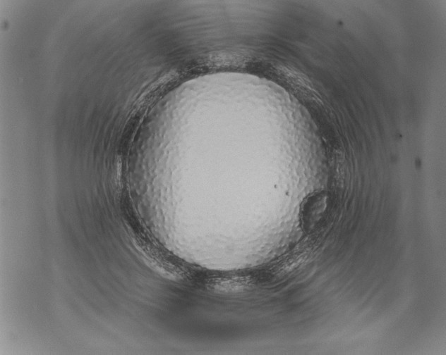 X0000076090550200610152321