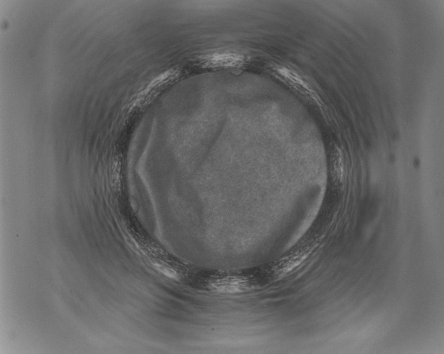 X0000076090551200610152321