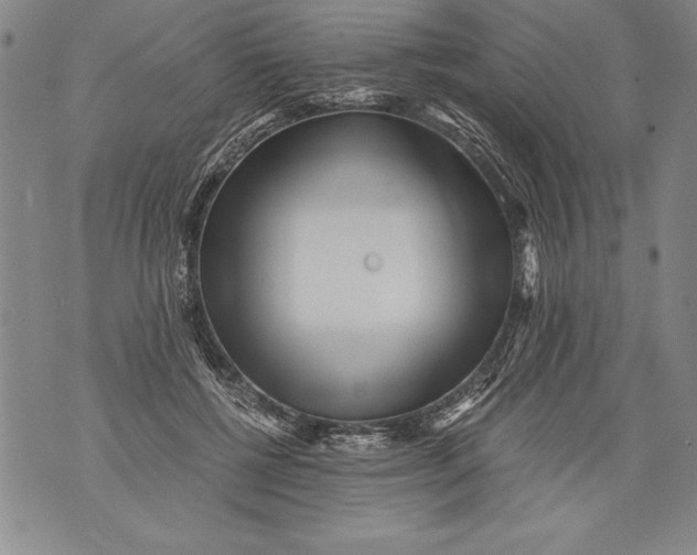 X0000076090552200610152321