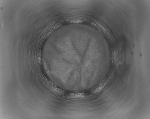 X0000076090553200610152321