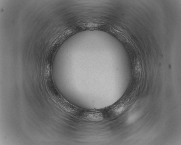 X0000076090555200610152321