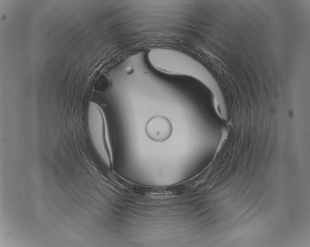 X0000076090556200610152321