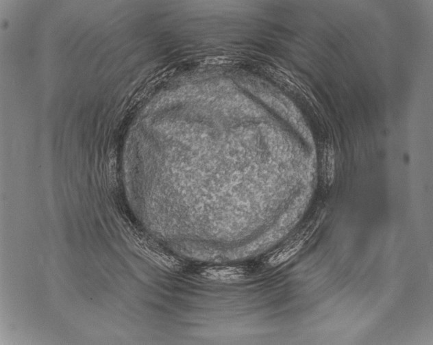 X0000076090557200610152321