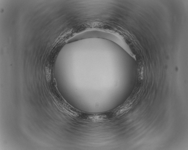 X0000076090558200610152321